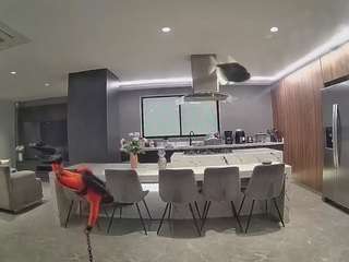 voyeurcam-casa-salsa-fishtank