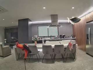 voyeurcam-casa-salsa-fishtank