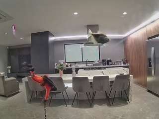 voyeurcam-casa-salsa-fishtank