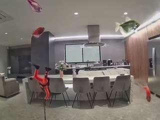 voyeurcam-casa-salsa-fishtank