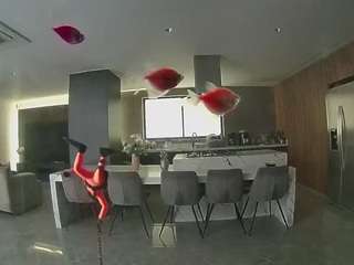 voyeurcam-casa-salsa-fishtank camsoda