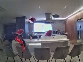 voyeurcam-casa-s... Live Webcam on CamSoda