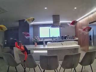 voyeurcam-casa-s... Live Webcam on CamSoda