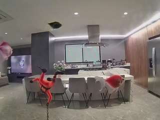 voyeurcam-casa-s... Live Webcam on CamSoda
