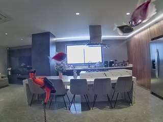 voyeurcam-casa-salsa-fishtank camsoda