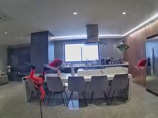 voyeurcam-casa-salsa-fishtank