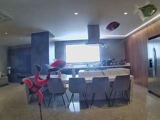voyeurcam-casa-salsa-fishtank