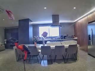 voyeurcam-casa-salsa-fishtank