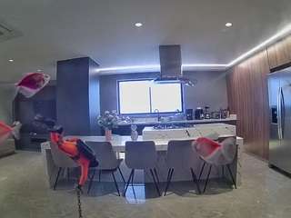 voyeurcam-casa-salsa-fishtank