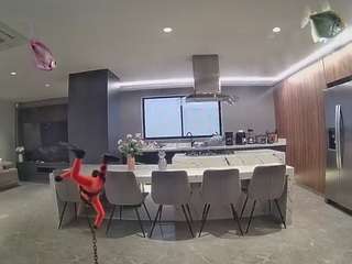 voyeurcam-casa-salsa-fishtank