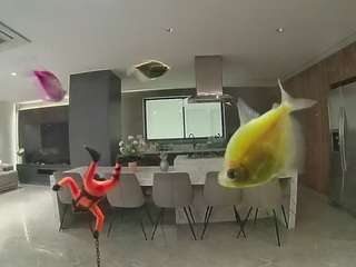 voyeurcam-casa-salsa-fishtank