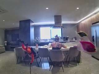 voyeurcam-casa-salsa-fishtank