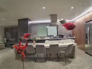 voyeurcam-casa-salsa-fishtank