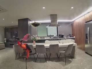voyeurcam-casa-salsa-fishtank