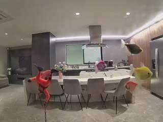 voyeurcam-casa-salsa-fishtank