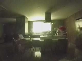 voyeurcam-casa-salsa-fishtank