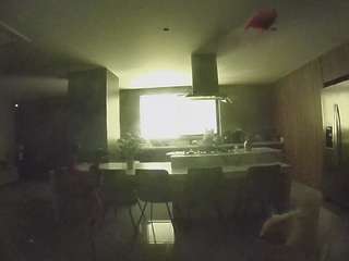 voyeurcam-casa-salsa-fishtank