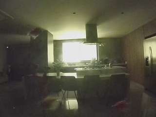 voyeurcam-casa-salsa-fishtank