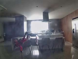 voyeurcam-casa-salsa-fishtank