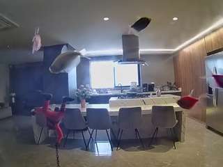 voyeurcam-casa-salsa-fishtank