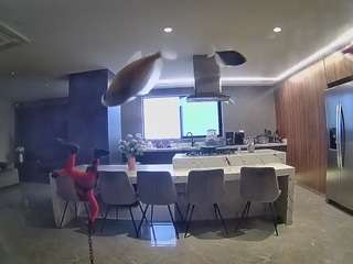 voyeurcam-casa-salsa-fishtank