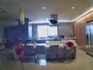 voyeurcam-casa-salsa-fishtank