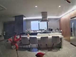 voyeurcam-casa-salsa-fishtank