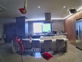 voyeurcam-casa-salsa-fishtank