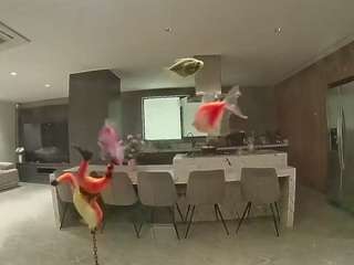 voyeurcam-casa-salsa-fishtank