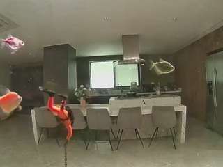 voyeurcam-casa-salsa-fishtank
