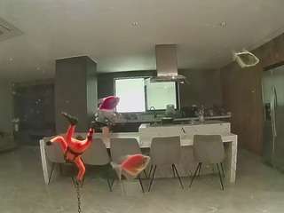voyeurcam-casa-salsa-fishtank