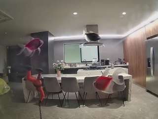 voyeurcam-casa-salsa-fishtank