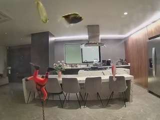 voyeurcam-casa-salsa-fishtank