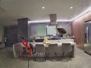 voyeurcam-casa-salsa-fishtank