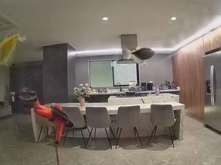 voyeurcam-casa-salsa-fishtank