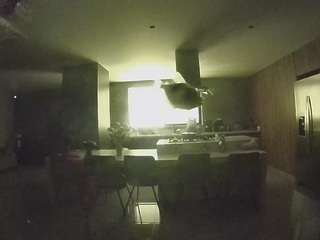 voyeurcam-casa-salsa-fishtank