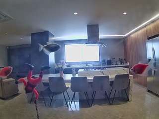 voyeurcam-casa-salsa-fishtank