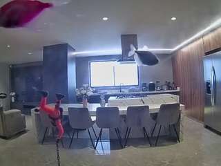 voyeurcam-casa-salsa-fishtank