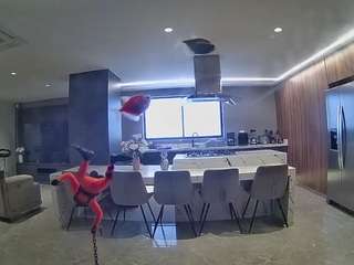 voyeurcam-casa-salsa-fishtank