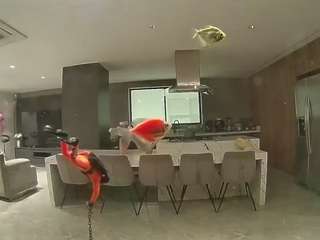 voyeurcam-casa-s... Live Webcam on CamSoda