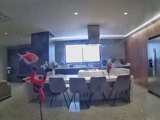 voyeurcam-casa-salsa-fishtank