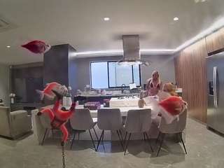 voyeurcam-casa-salsa-fishtank