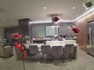 voyeurcam-casa-salsa-fishtank