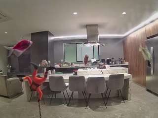 voyeurcam-casa-salsa-fishtank