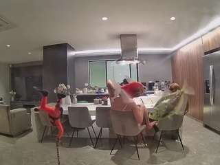 voyeurcam-casa-salsa-fishtank