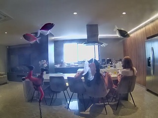 voyeurcam-casa-salsa-fishtank