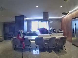 voyeurcam-casa-salsa-fishtank