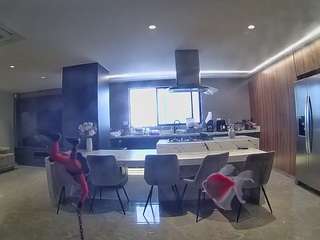 voyeurcam-casa-salsa-fishtank