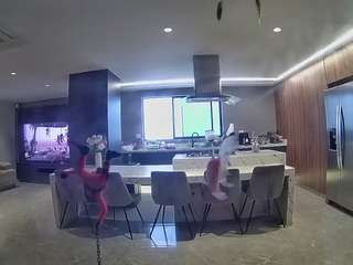 voyeurcam-casa-salsa-fishtank