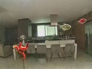 voyeurcam-casa-salsa-fishtank